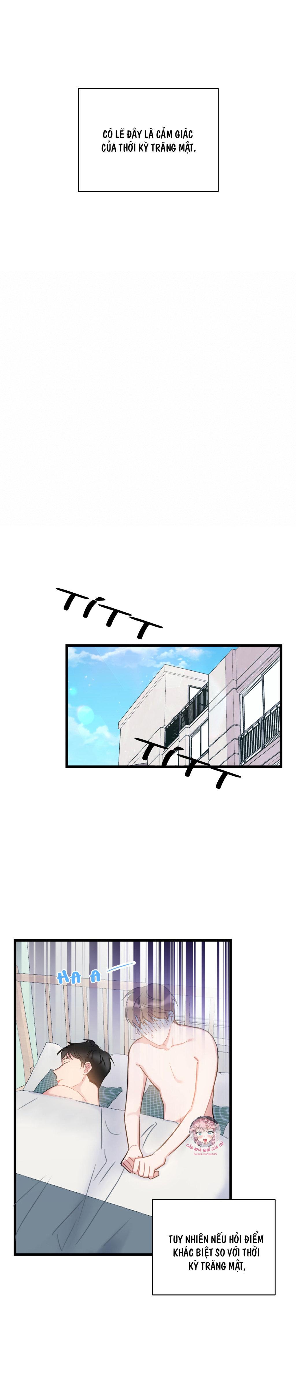 tình yêu bình dị nhất chapter 11 17