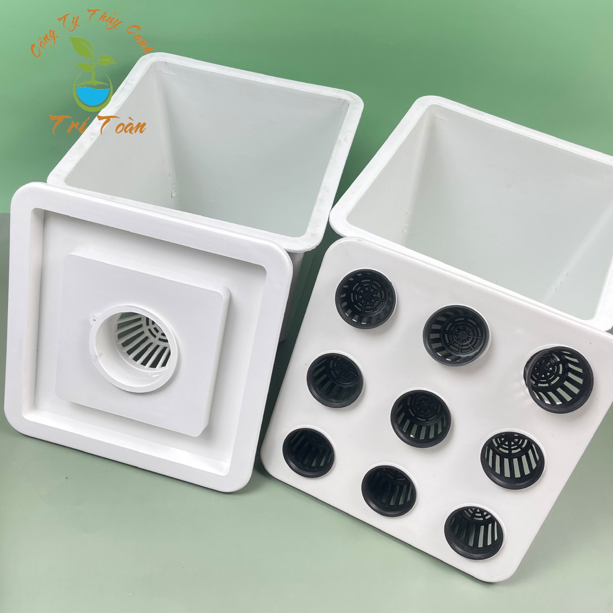 (Combo 6 thùng) Thùng nhựa trồng rau thủy canh tĩnh combo trồng rau ăn lá và ăn trái (3 thùng ăn lá, 3 thùng ăn trái)