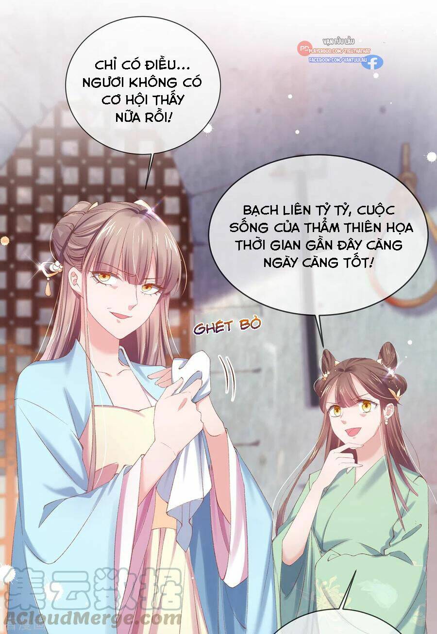 thị huyết y phi chapter 123 34