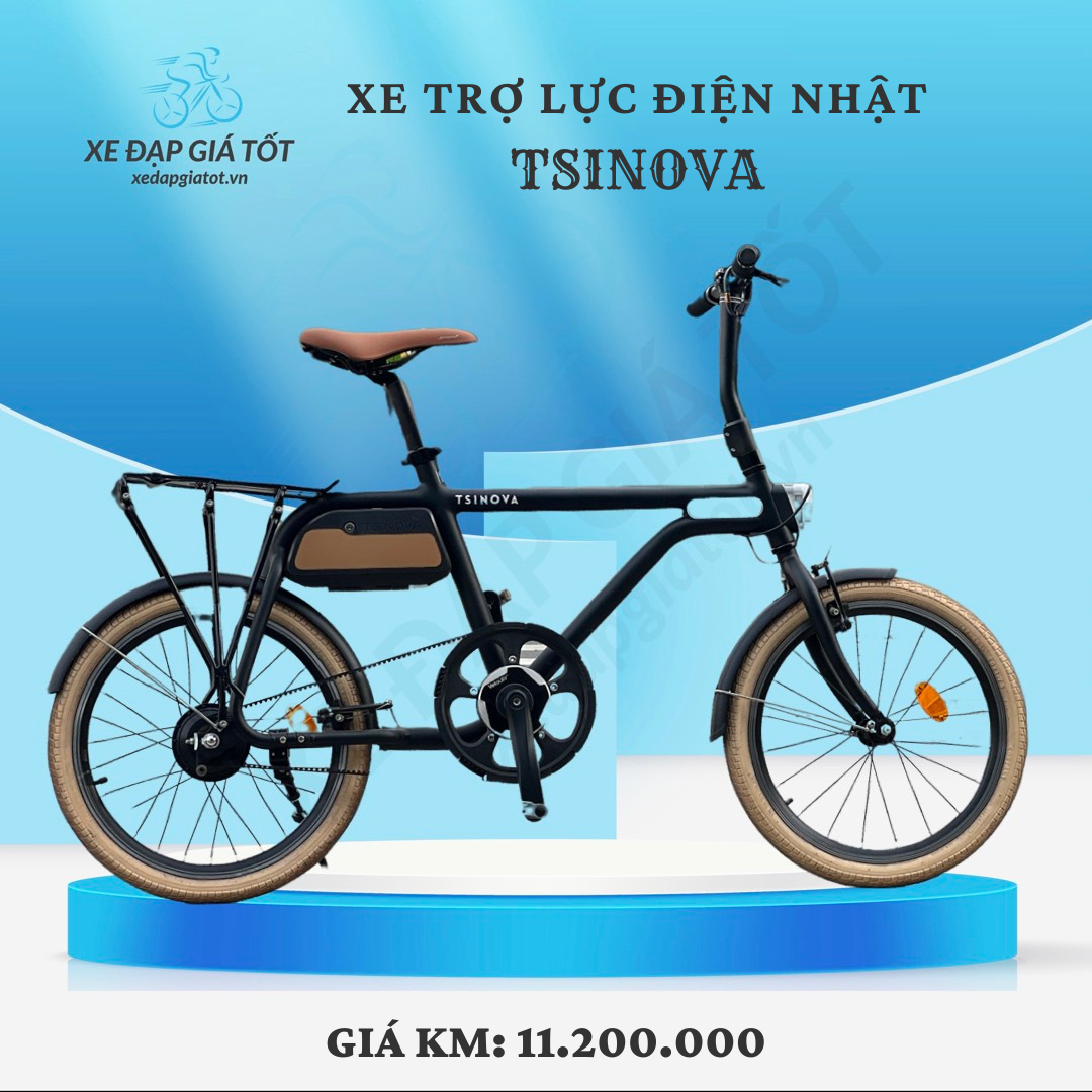 XE TRỢ LỰC ĐIỆN NHẬT TSINOVA