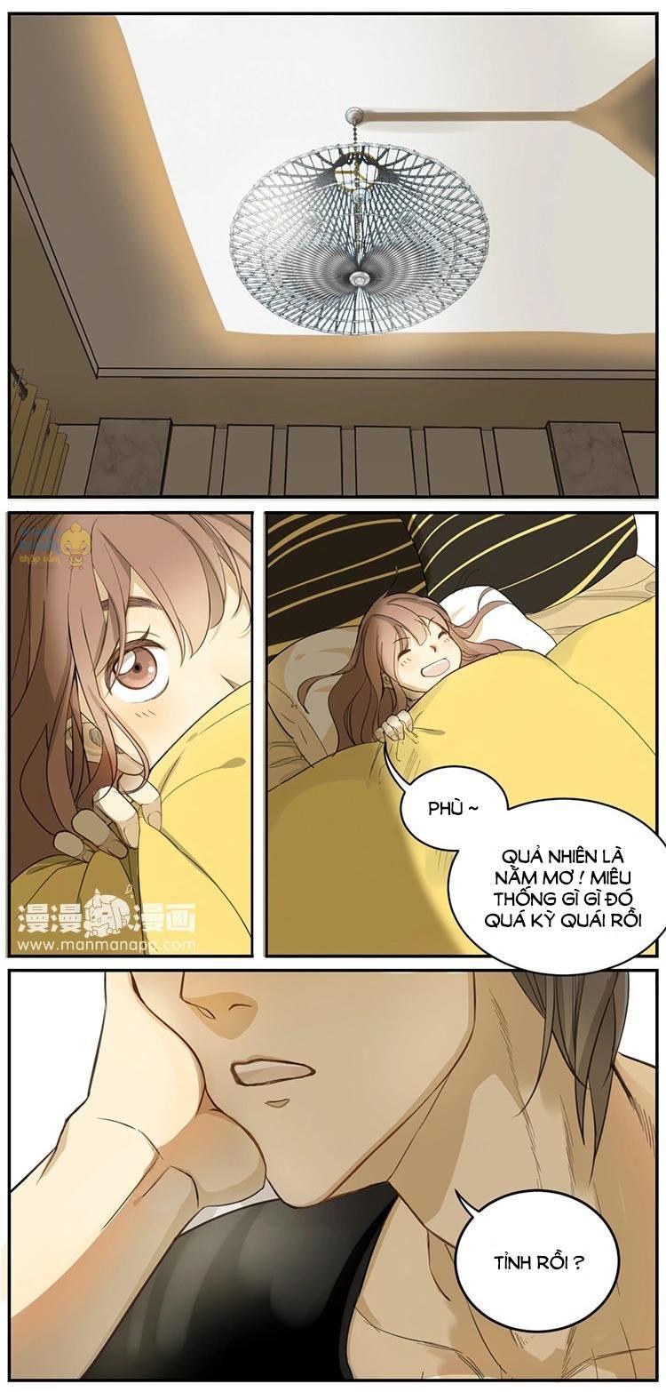 cứu mạng ! loài mèo thống trị thế giới rồi ! chapter 3 18