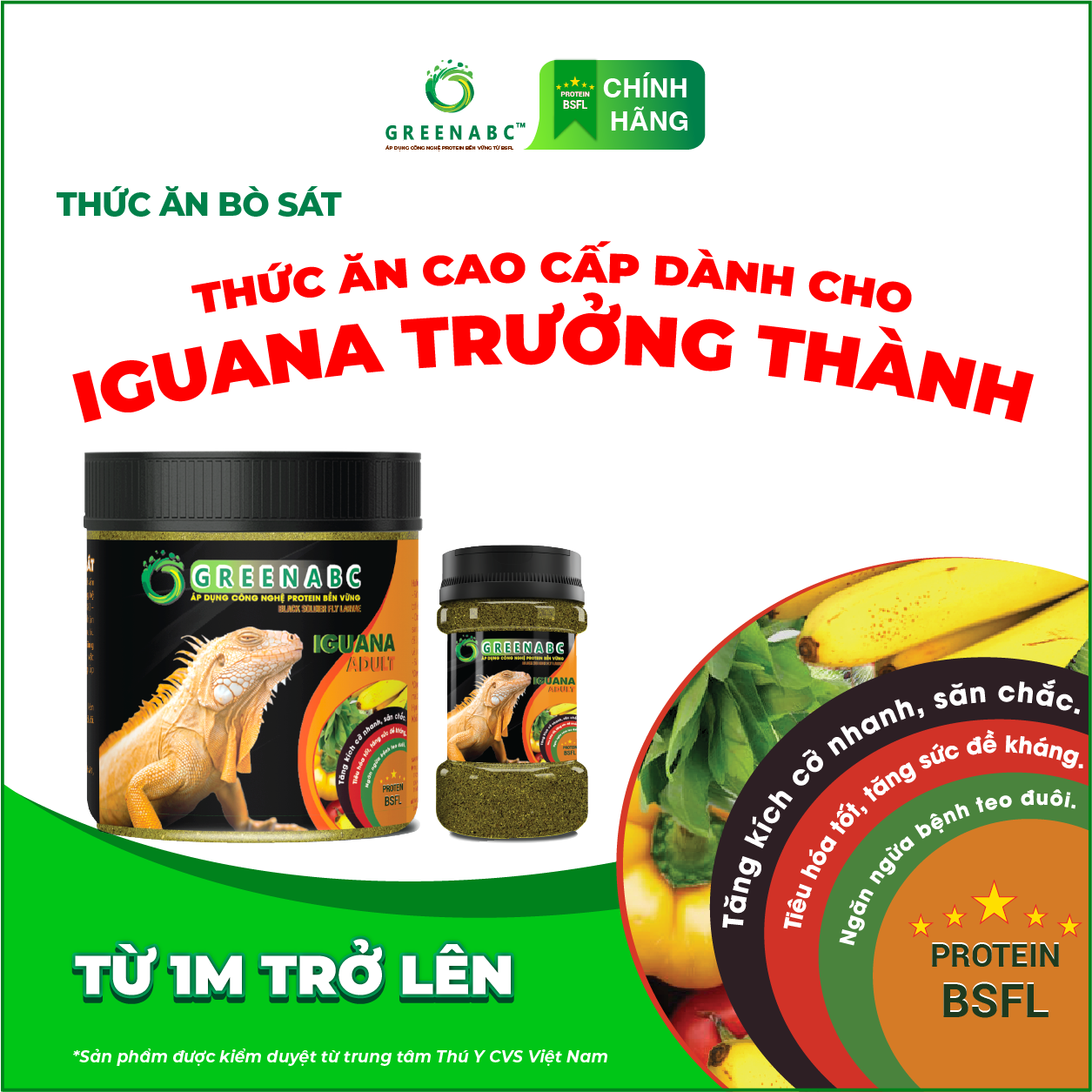 Thức ăn bò sát Iguana Trưởng Thành GREENABC dùng cho Iguana từ 1m trở lên giúp gai bung, gù cao, dáng đẹp, lên màu tươi - Hộp 230g