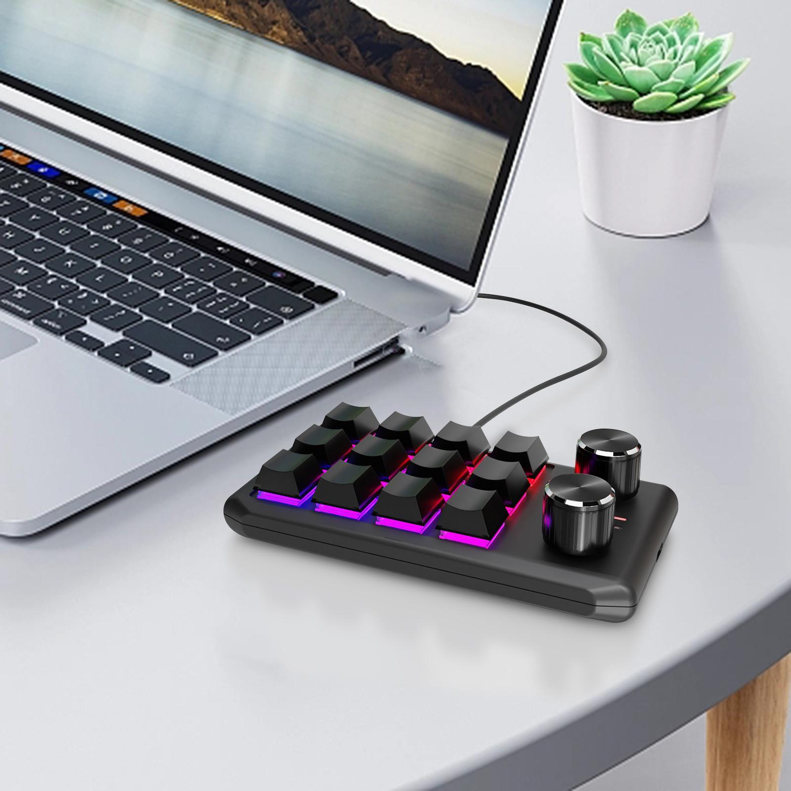 12 Keys Keyboard RGB Non Slip with USB Cable with 2 Knob Standard Keyboard Programming Keyboard Mini Keypad for Games Designers