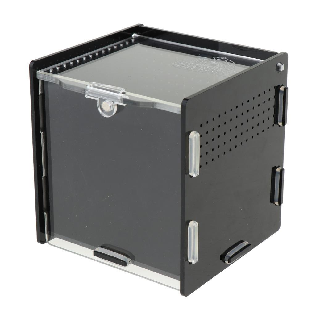 Reptile Vivarium Terrarium