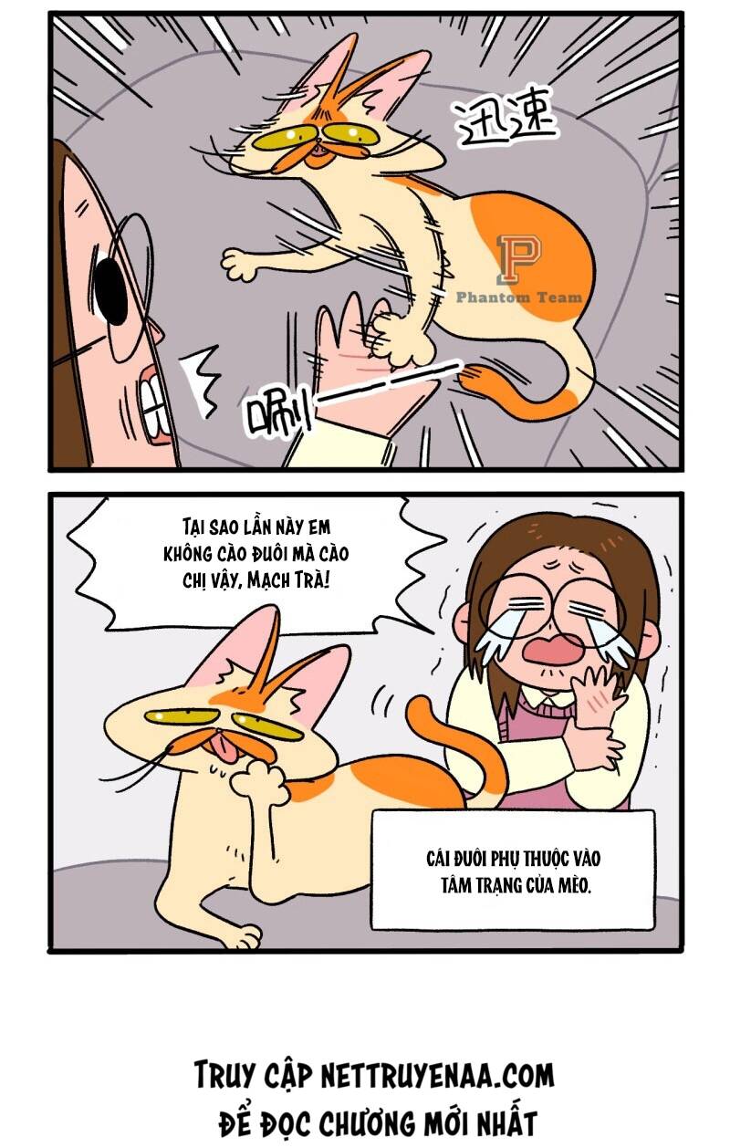 a mãn và mạch trà chapter 8 6