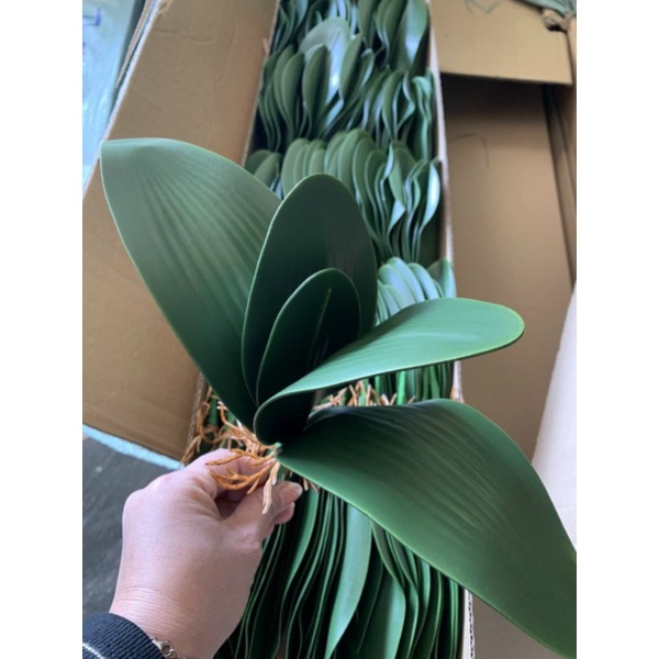 Lá lan hồ điệp giả giống thật 99% - 1 cụm gồm 5 lá - dài 27cm - Cây giả, hoa lụa Decor trang trí nhà cửa