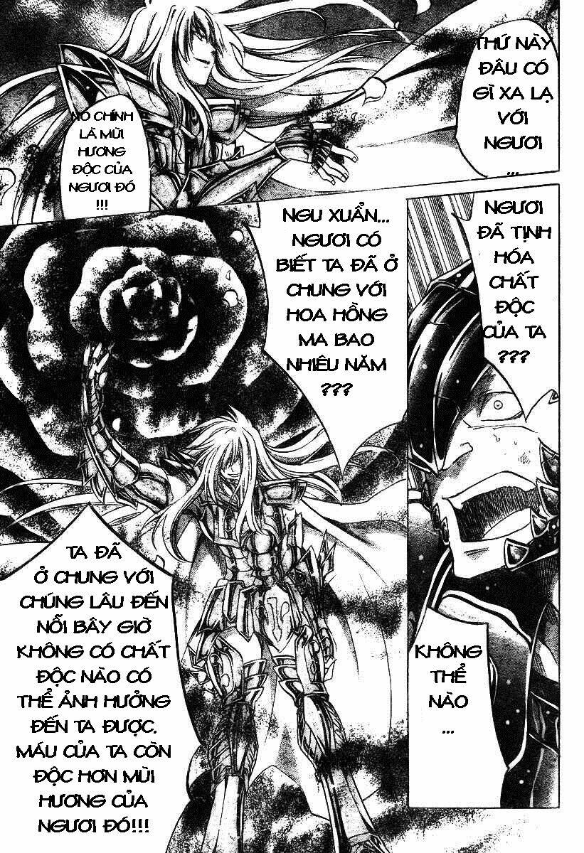 áo giáp vàng: thánh đấu sĩ thiên mã chapter 19 14