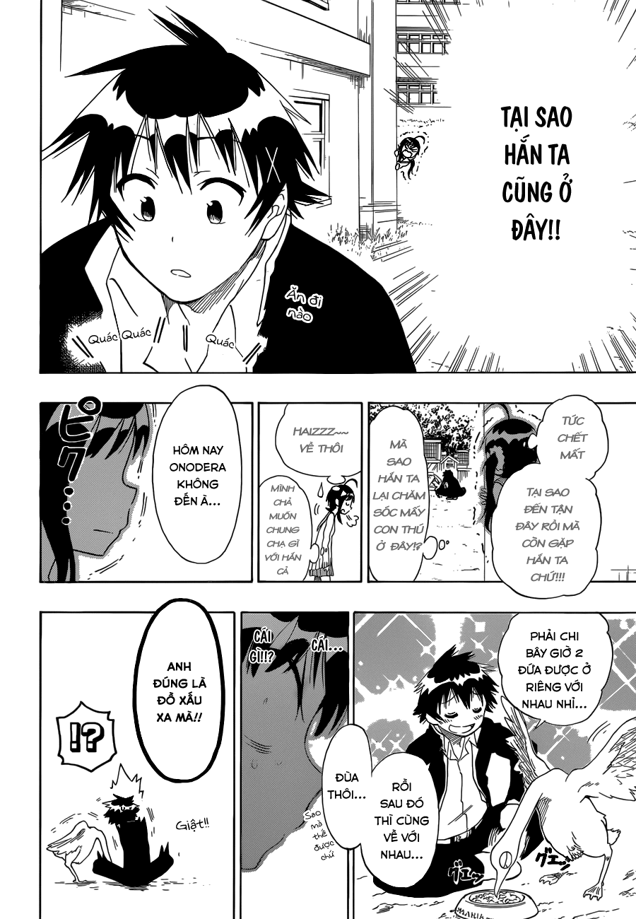 nisekoi - tình yêu giả tạo chapter 76 16