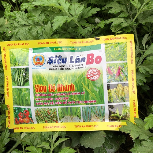 02 gói Phân bón siêu lân Bo giải độc, hạ phèn, phục hồi xanh nhanh