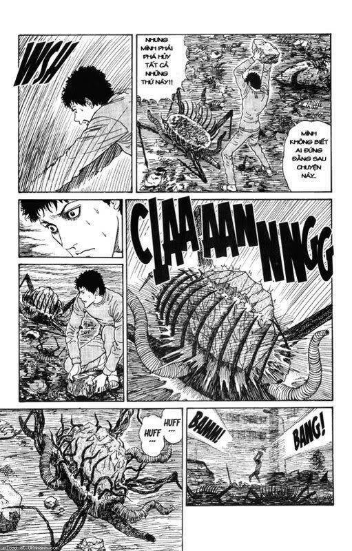 quái vật biển chapter 13 11