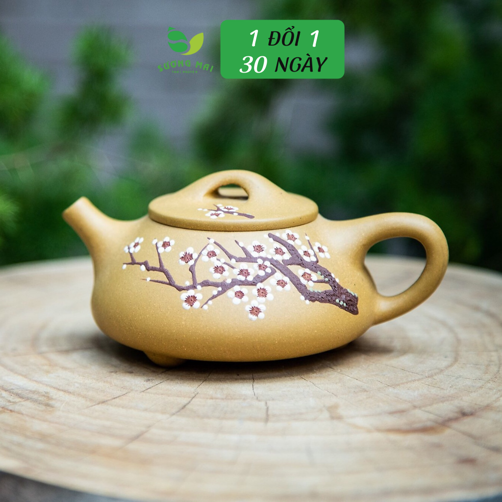 Ấm đoàn sa Thạch Biều Cổ Thụ Mai