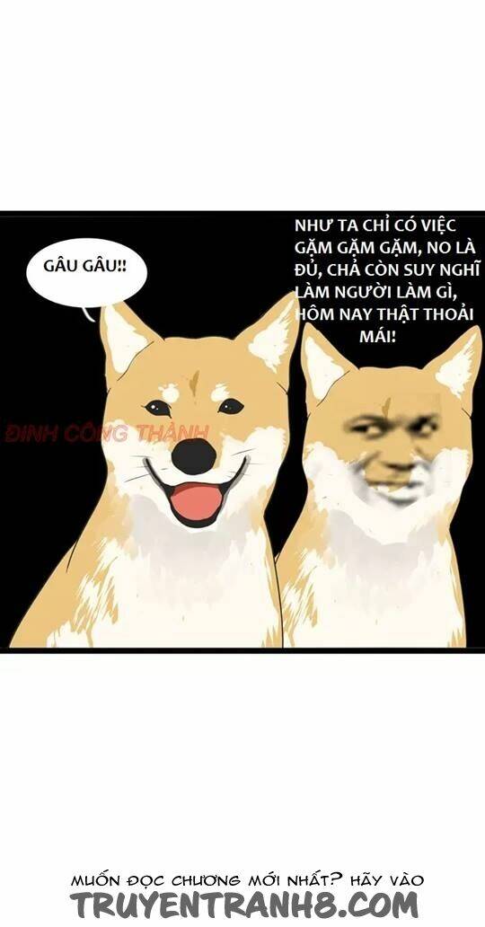 mục vụ chapter 4.3 41