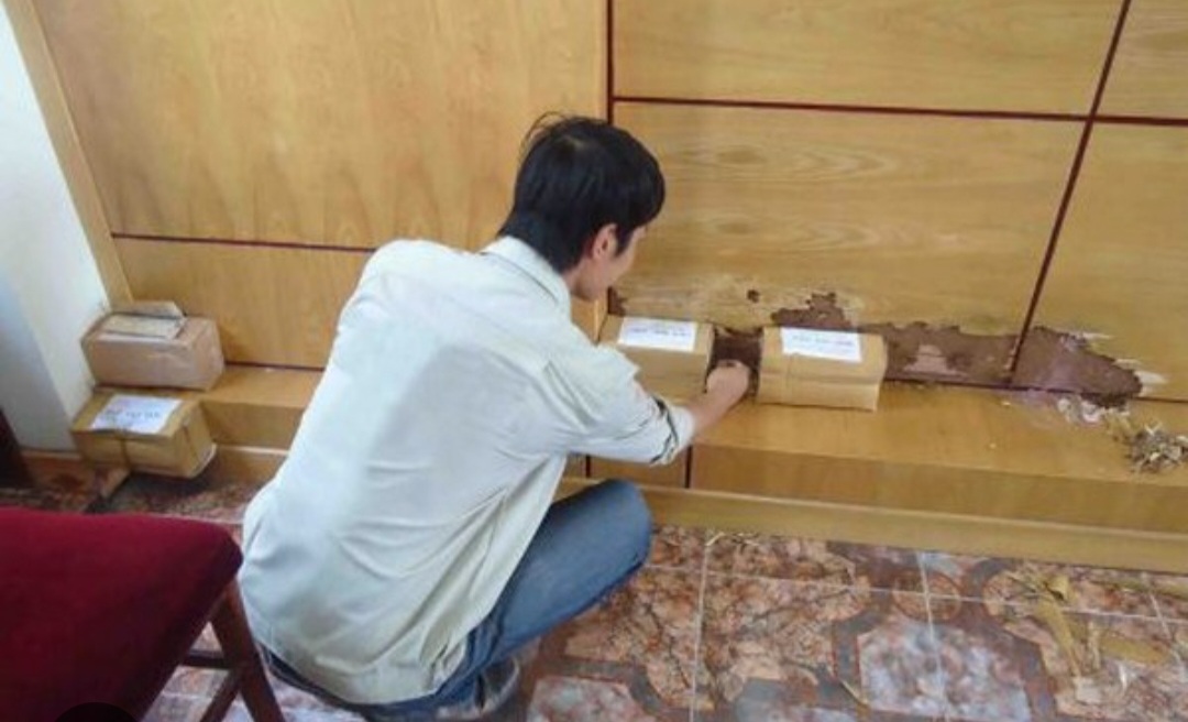 Combo diệt mối trừ mối sinh học tận gốc PMC: 2 Hộp nhử mối + 1 lọ diệt mối PMC 90