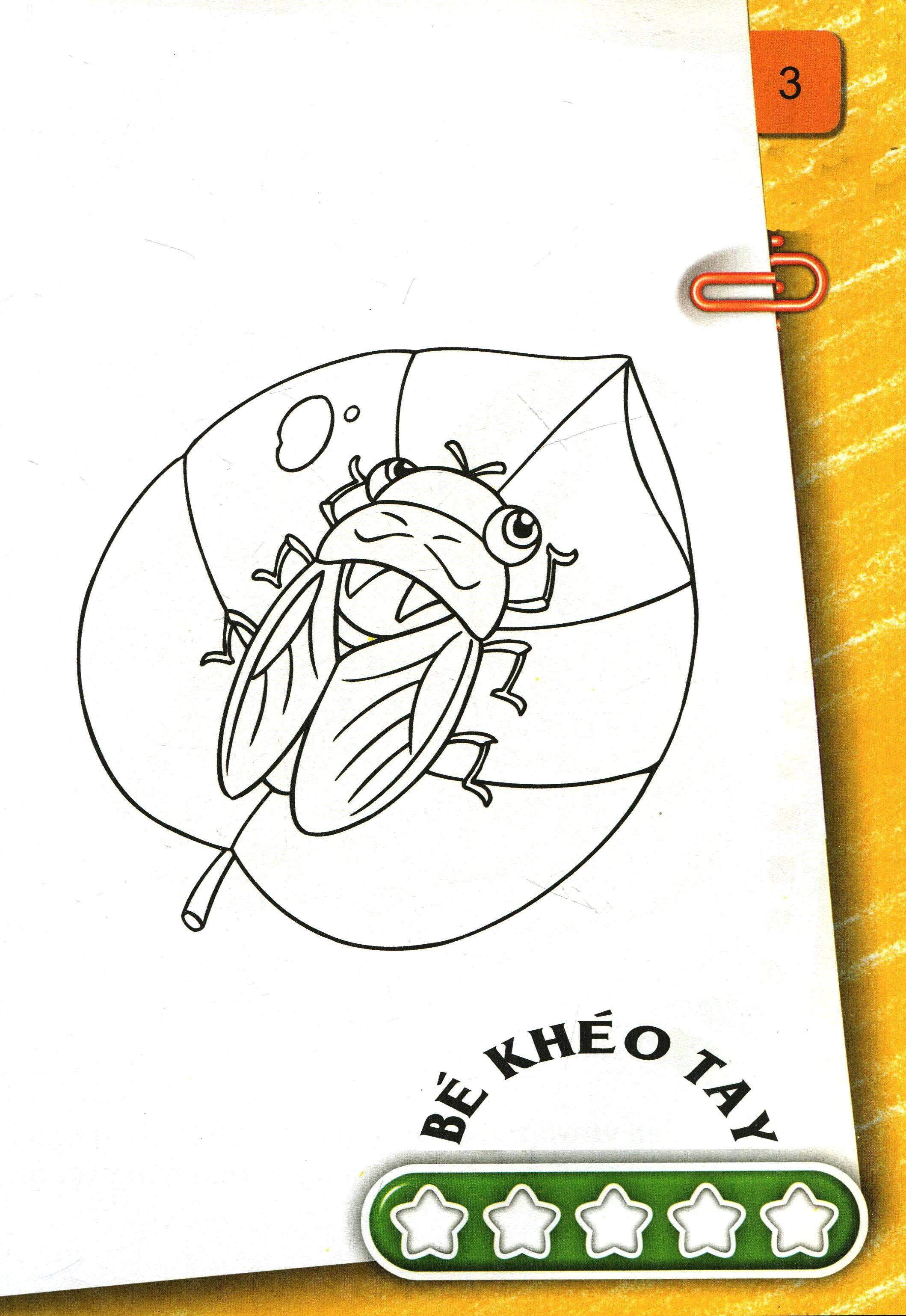 Sách Bé Tô Màu (2-6+) - Những Con Côn Trùng Bé Nhỏ - Tập 2