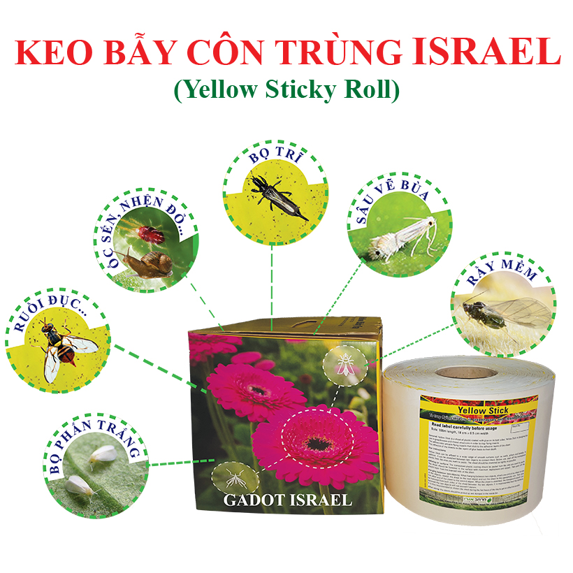 Cuộn Keo Dính Vàng Bẫy Côn Trùng Nhập khẩu Israel dùng bẫy ruồi đục trái, bẫy bọ trĩ, bọ phấn, sâu vẽ bùa và bẫy các côn trùng khác