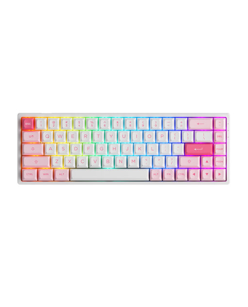 Bàn phím cơ AKKO 3068B Multi-modes Prunus Lannesiana Jelly Pink Switch Hàng Chính Hãng
