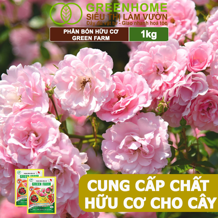 Phân Bón Hữu Cơ Green Farm, GreenHome, Gói 1kg, Chuyên Dùng Cho Cây Cảnh, Hoa Hồng