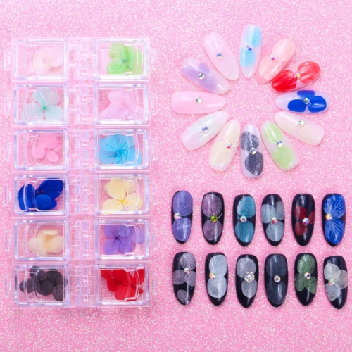 Set hoa khô đắp móng nail 12 màu 0419
