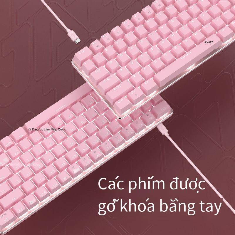 Đặc Biệt Đen Hầu Tước AK33 Hồng Bàn Phím Cơ Xanh Trục Đỏ Trục Bé Gái Dễ Thương Văn Phòng Tại Nhà Trò Chơi Full Phím Không Bấm Bàn Phím