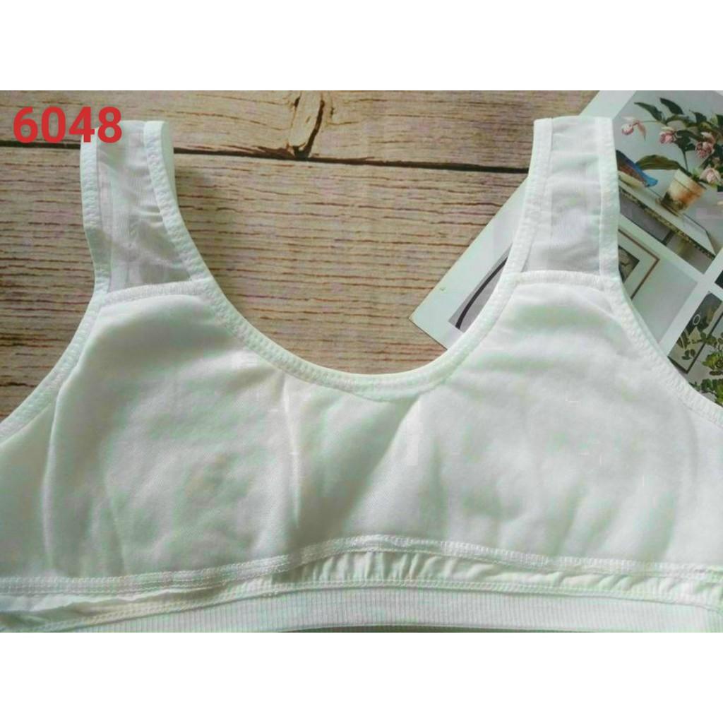 COMBO 05 ÁO LÁ HỌC SINH COTTON CAO CẤP 6048