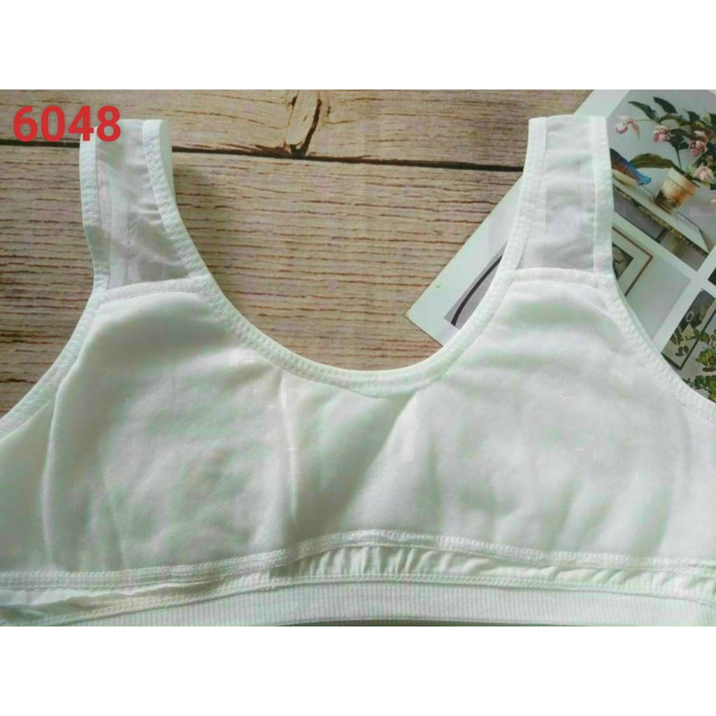 COMBO 05 ÁO LÁ HỌC SINH COTTON CAO CẤP 6048(35-50kg)