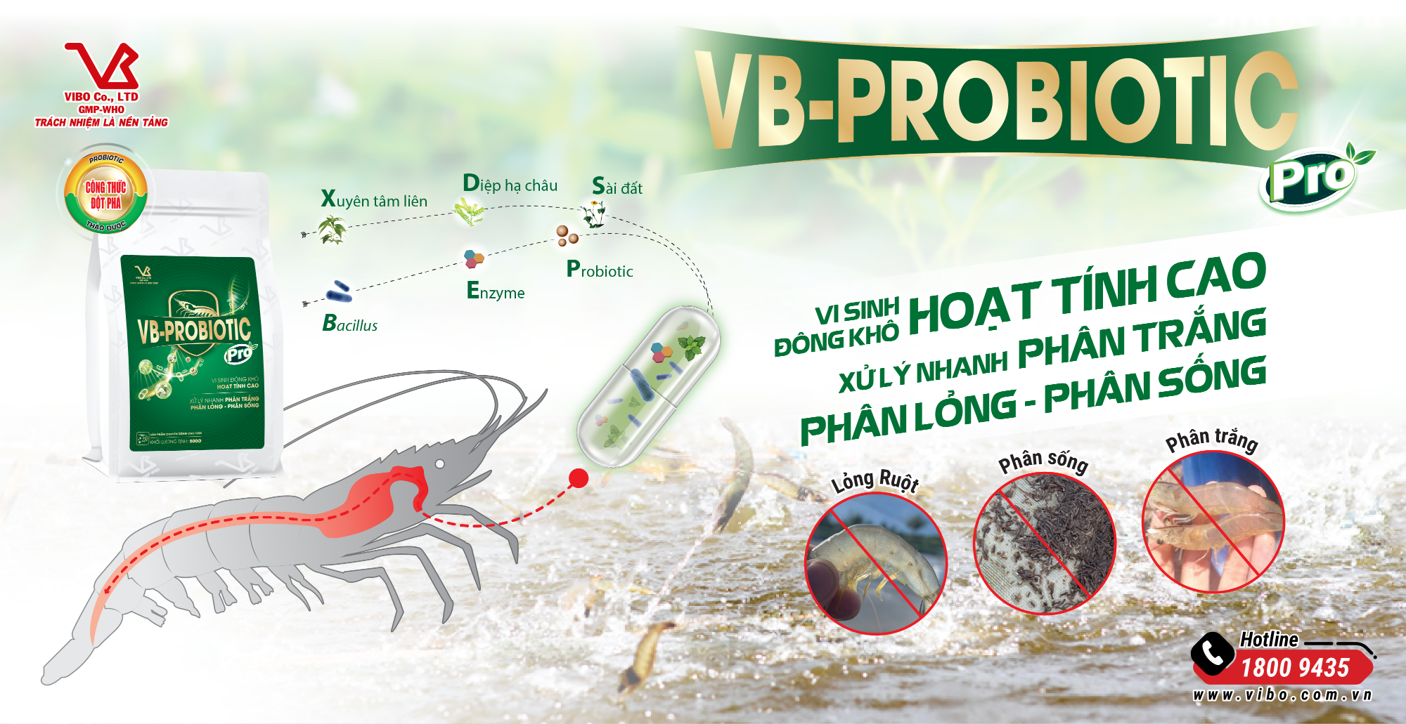Thuốc phòng bện phân trắng cho tôm, không phải kháng sinh, gói 250g