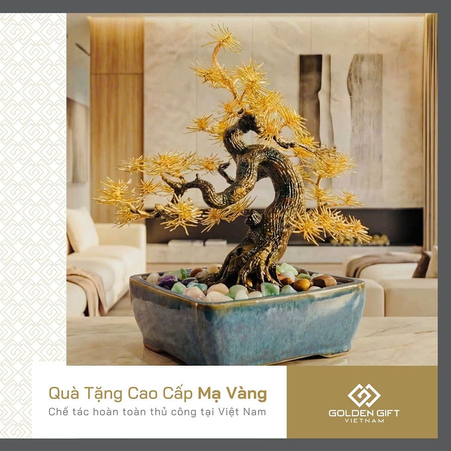 Cây Tùng La Hán mạ vàng