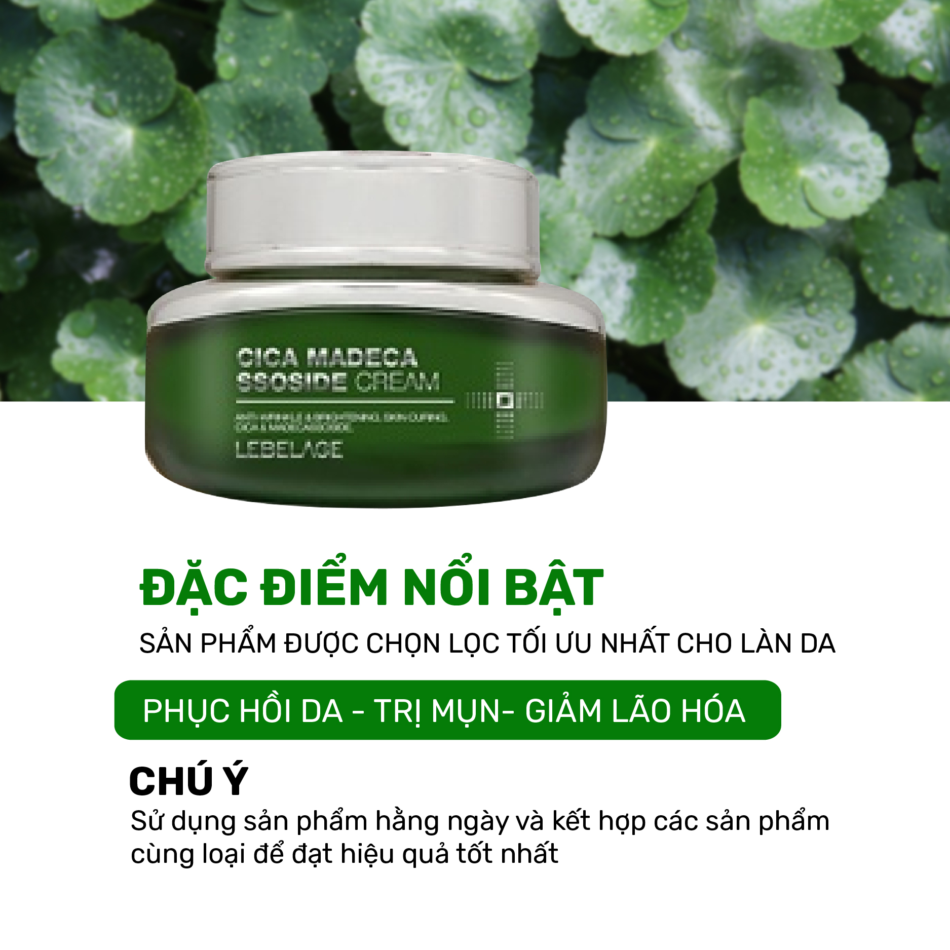 Kem dưỡng ẩm, phục hồi da Lebelage Cica Madecassoside Cream 55ml