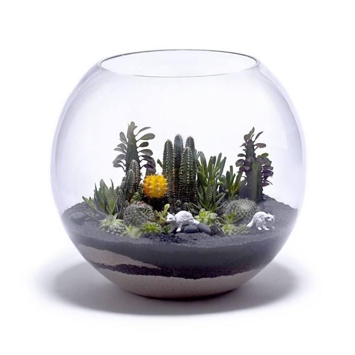 Chậu thủy tinh mini 11*9 CM - Chậu Thuỷ Tinh Nuôi Cá, Trồng Cây Mini