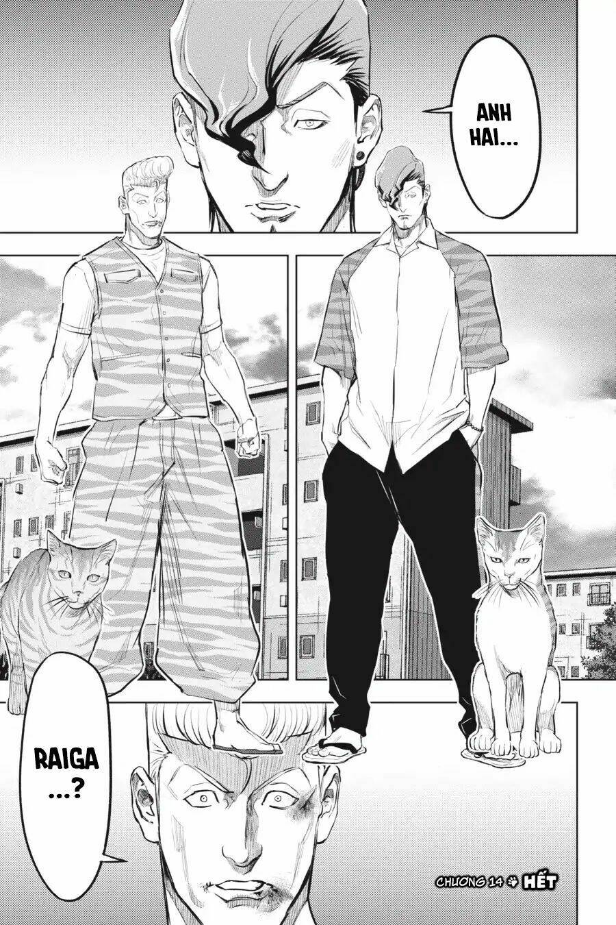 nyankees chapter 14 34