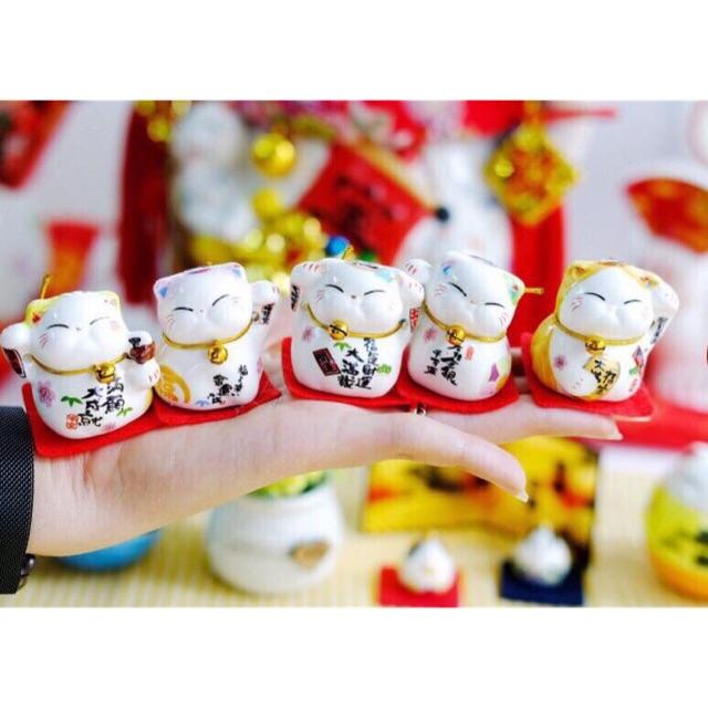 Set 5 mèo thần tài Maneki-Neko