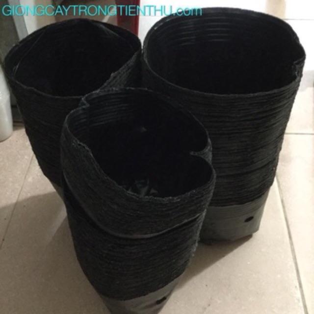 TÚI BẦU TRỒNG CÂY