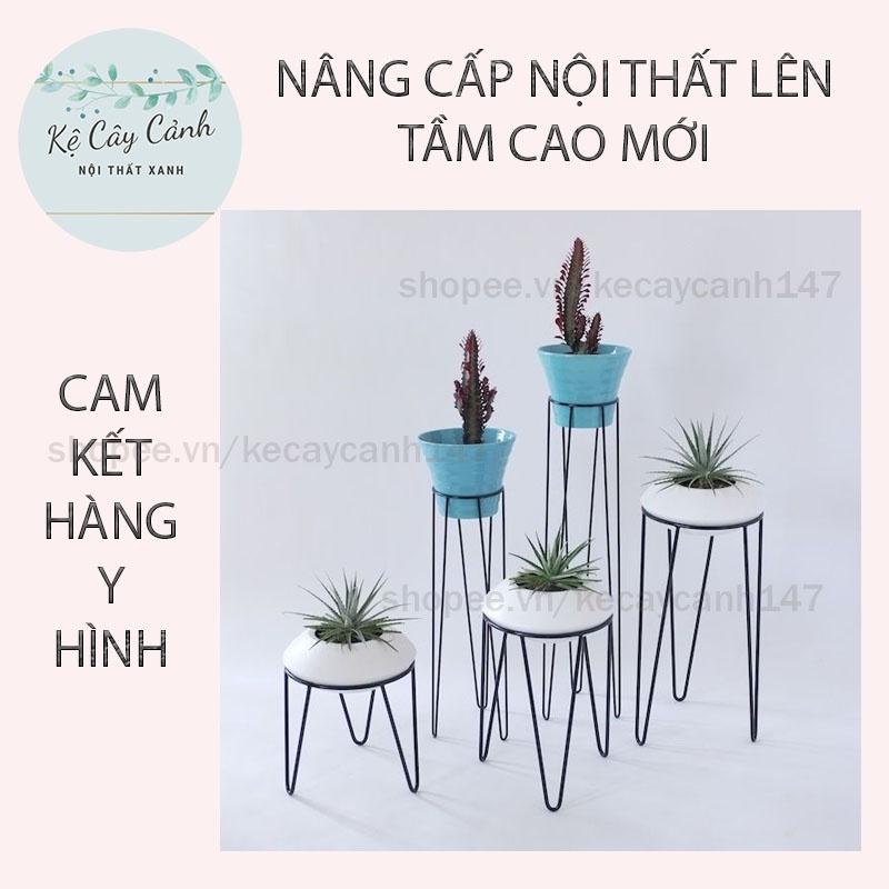 KỆ CÂY CẢNH CỔ ĐIỂN  SANG TRỌNG SƠN TĨNH ĐIỆN - CHỊU LỰC TỐT CHO NỘI THẤT HIỆN ĐẠI