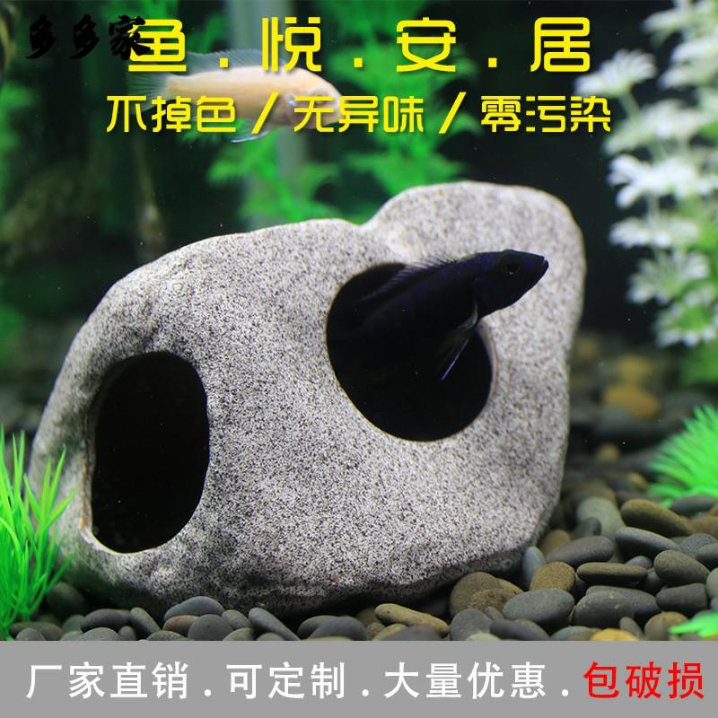 Hang cá ali ZS 1002 - hang pleco - trang trí bể tép - bể thủy sinh - hồ cá cảnh - biotop - bò sát