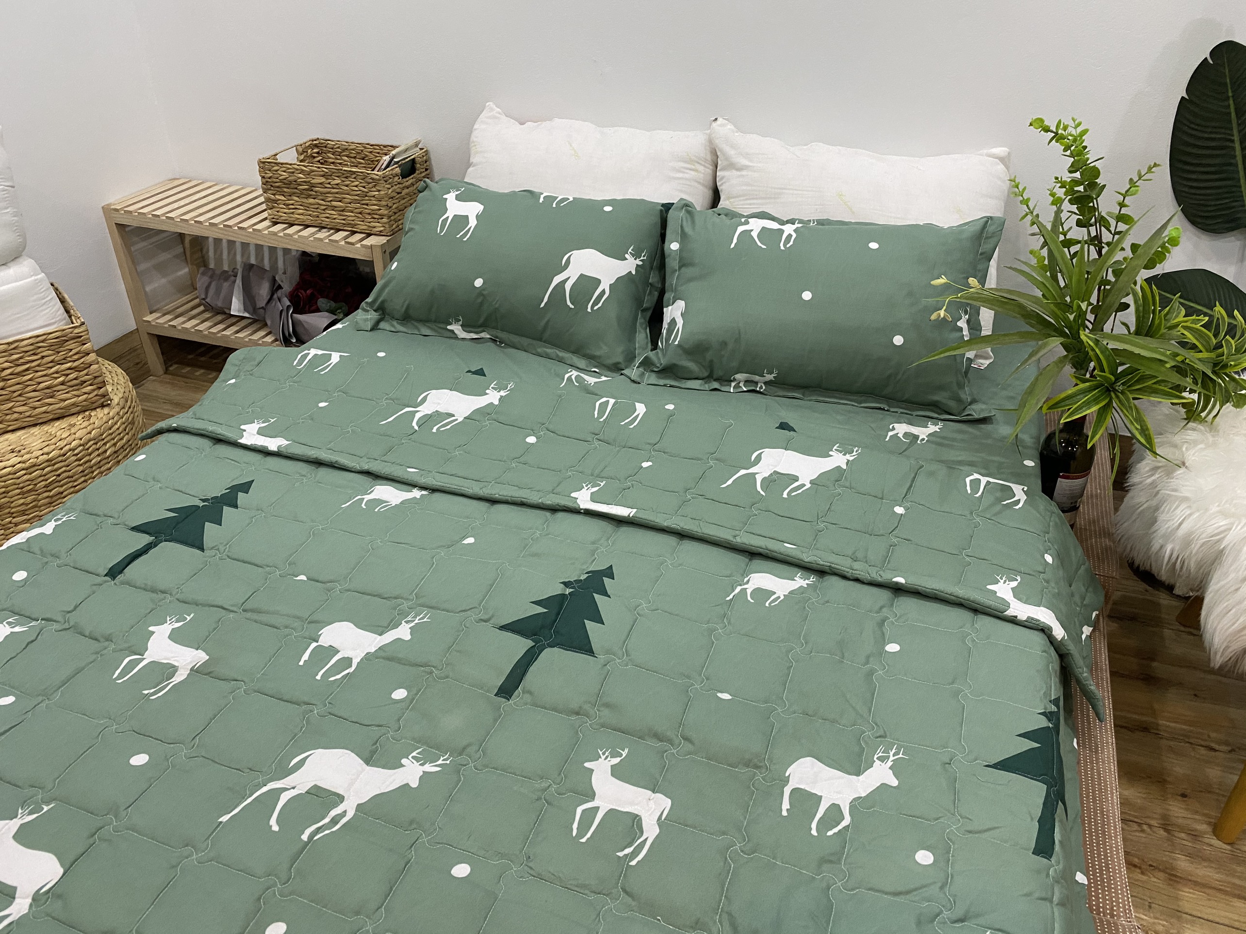 Bộ Chăn Ga Gối Hè Thu 5 Món CHM14
