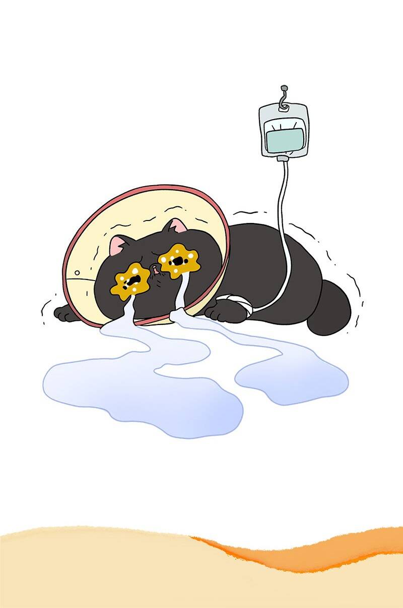 a mãn và mạch trà chapter 14 7