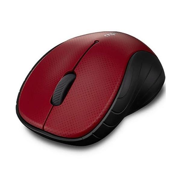 Chuột RAPOO 3000P