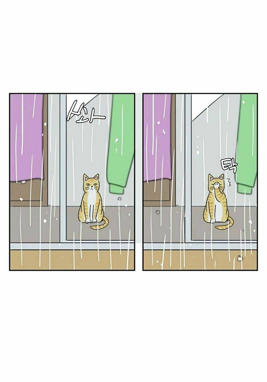 con gái tôi là zombie chapter 34 41