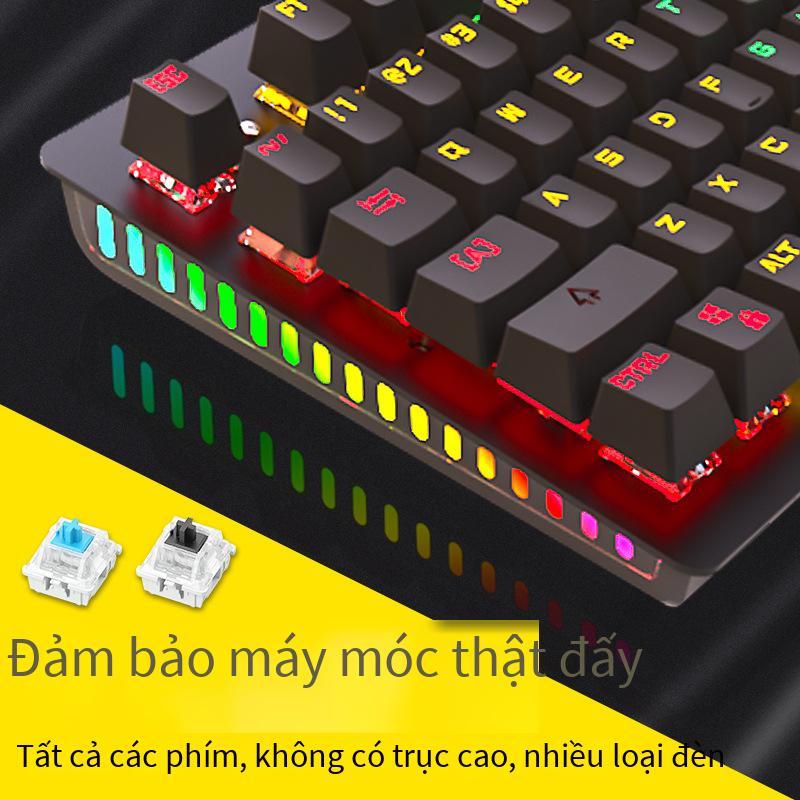 Giao hàng nhanh trục xanh bàn phím cơ trò chơi máy tính ăn gà đèn nền dạ quang kim loại chống thấm nước 104 phím phím đầy đủ mà không cần bấm lỗ