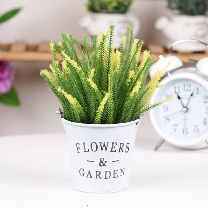 Xô thiếc và cỏ nhánh nhọn, hoa giả