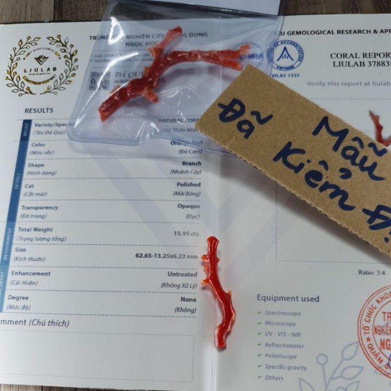 110- L Nhánh San Hô Đỏ (THIÊN NHIÊN)