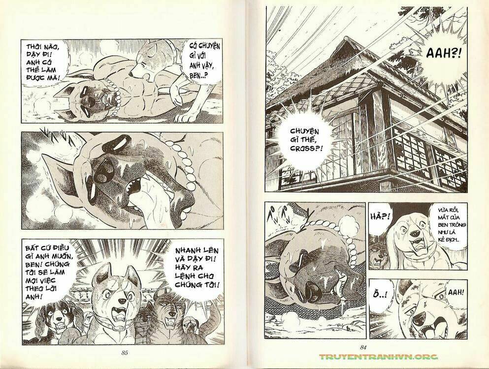 chú chó có nghĩa - ginga nagareboshi gin chapter 19 41