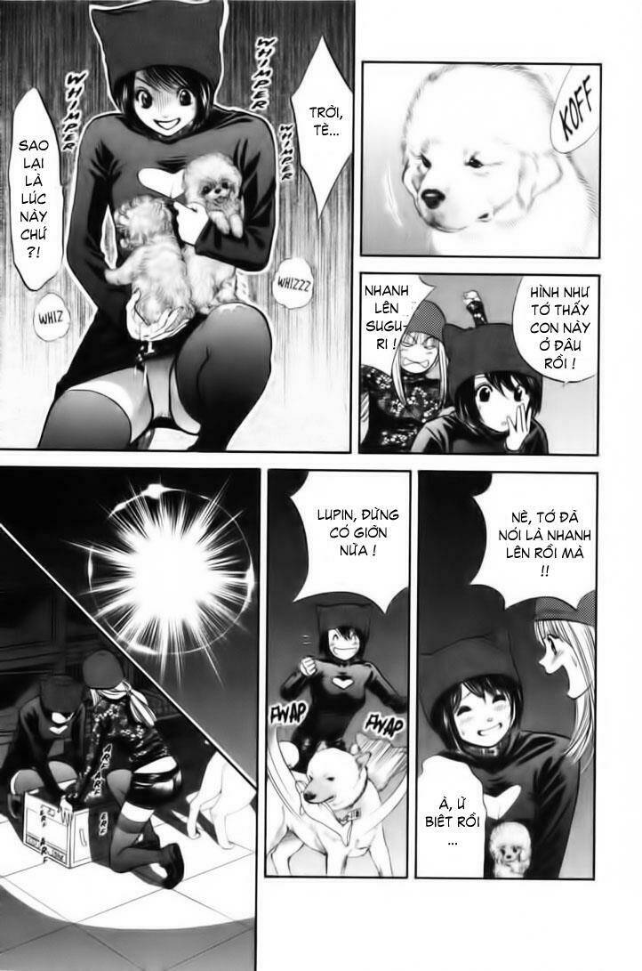 cô nàng yêu chó chapter 27 17