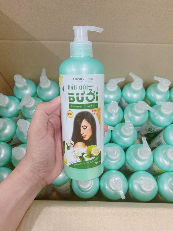 Combo Dầu Gội Và Kem Xả Tinh Chất Bưởi 500ml