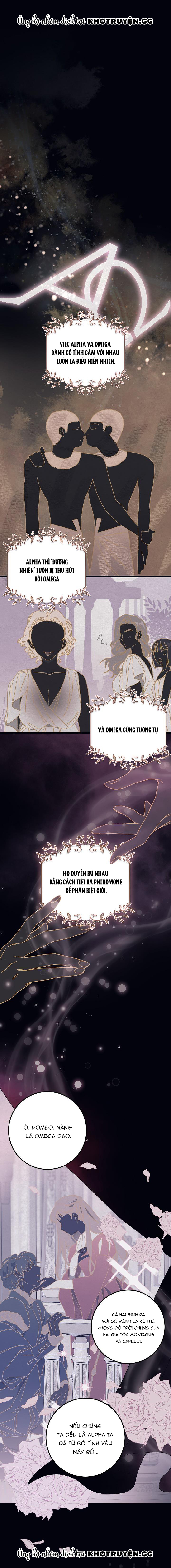 alpha thì có sao? chapter 1 1