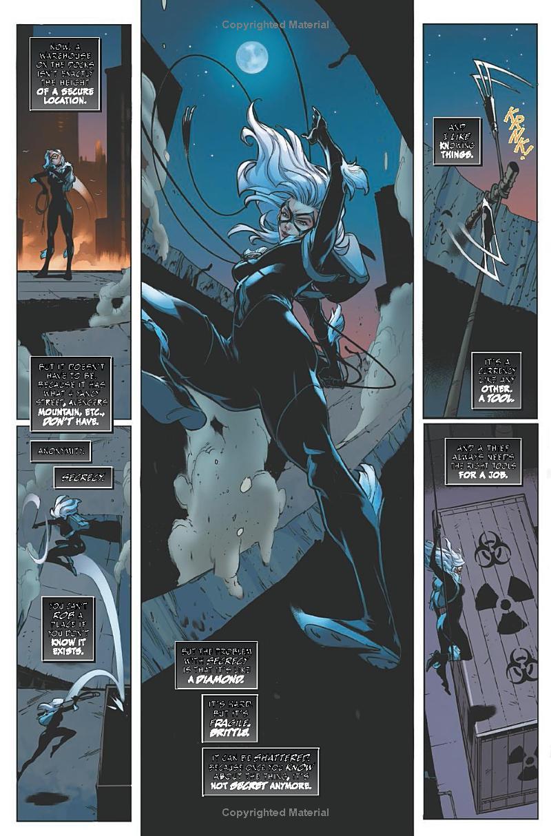 Black Cat Vol. 6: Infinity Score