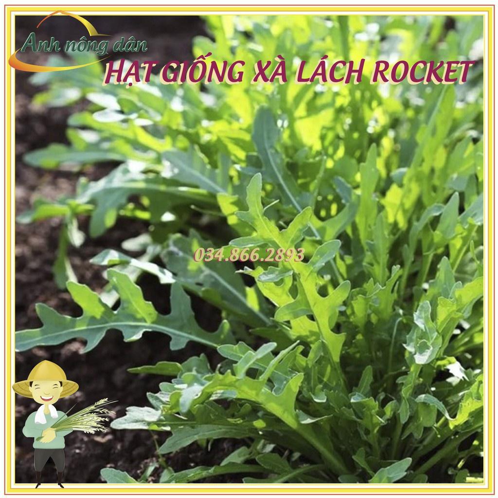 Gói 2gr Hạt giống rau xà lách rocket, rau arugula F1 cao sản chất lượng cao