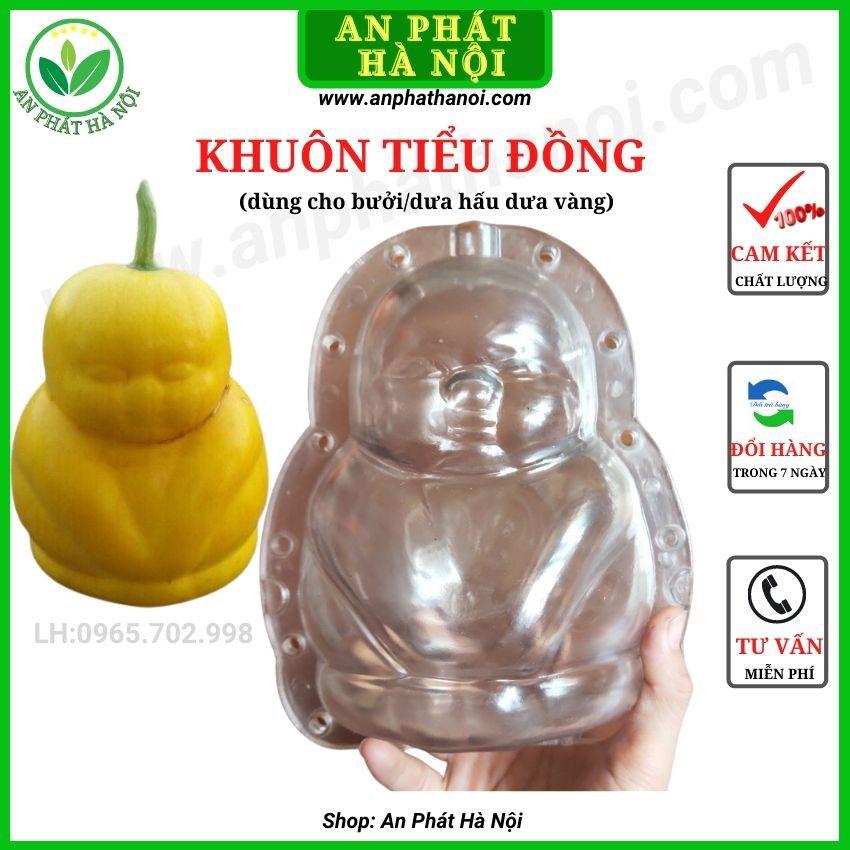 Khuôn Bưởi hình Tiểu Đồng loại đẹp - Khuôn tạo hình trái cây TÀI LỘC dày 4,5 li dày đủ phụ kiện