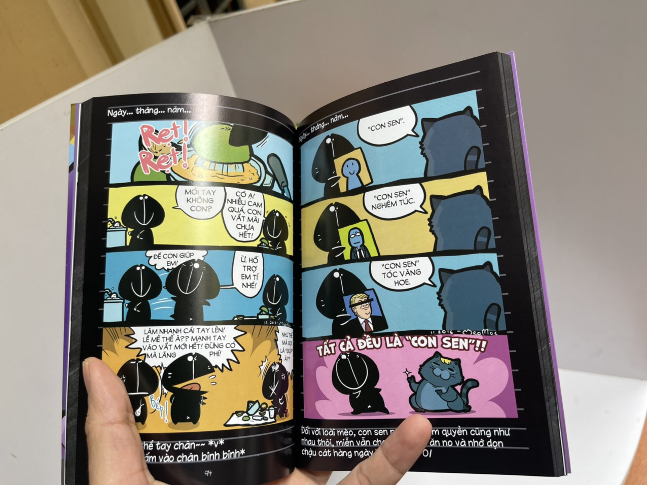 MÈO MỐC – HÃY NGẮM NHÌN BẦU TRỜI - Mèo Mốc – Skybooks – bìa mềm