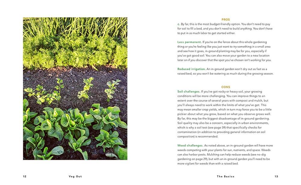 Sách - Veg Out : A Stress-Free Guide to Creating Your First Vegetable Garden by Heather Rodino (US edition, paperback)